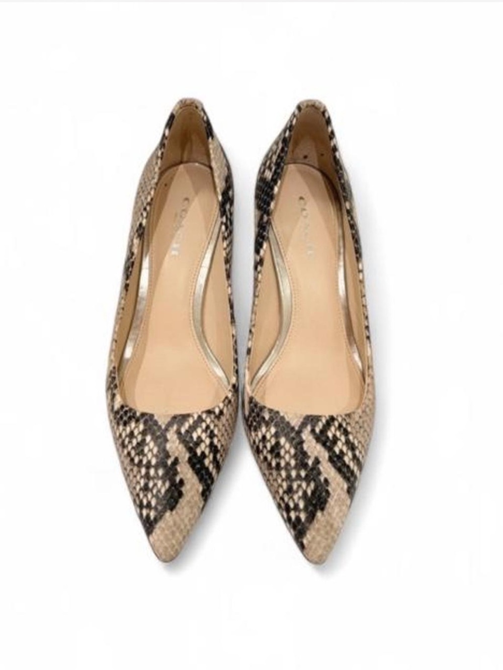 Coach Grand Heels in a python-embossed leather finish. Size 5